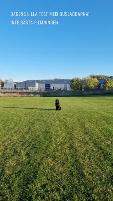 Dagens lilla test med buslabbarna!
Inte bästa filmningen...
