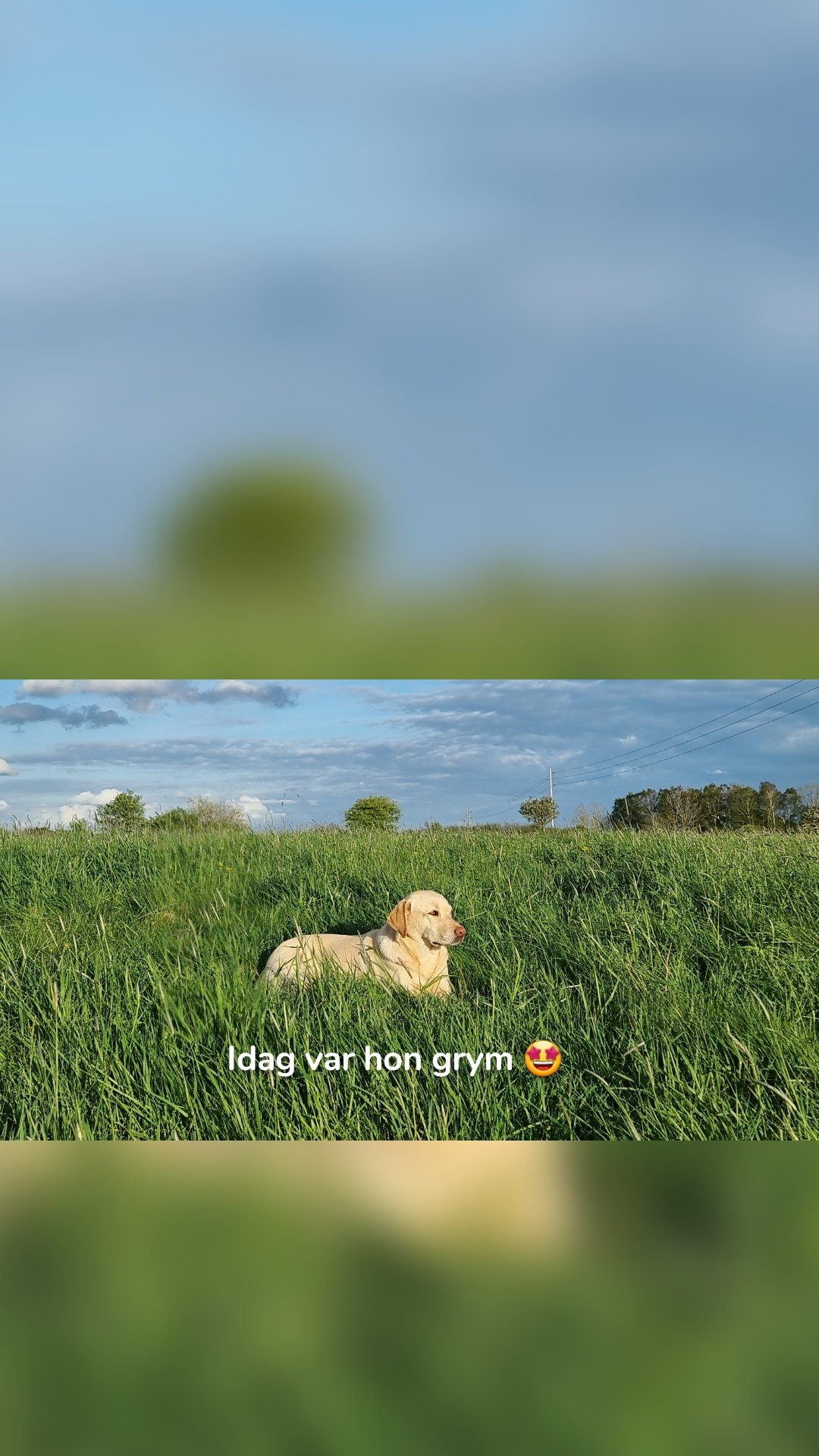 Idag var hon grym 🤩